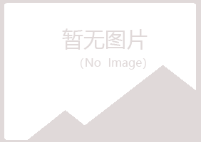 偃师映秋服务有限公司